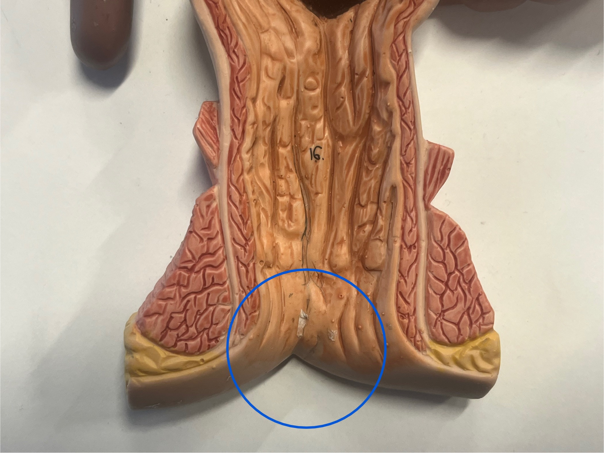 <p>What is this?</p>