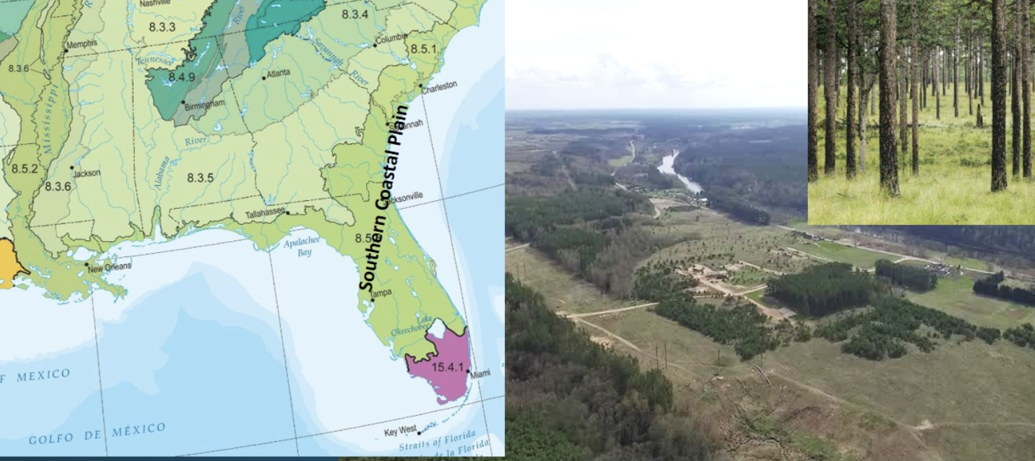 <p>This ecoregion is lower in elevation with less relied and wetter soils than the Southeastern Plains. It is warmer, more heterogeneous, and has a longer growing season and coarser texture than the middle Atlantic coastal plain. It features diverse ecosystems, including wetlands, forests, and agricultural areas, and supports a variety of plant and animal species. it consists mostly of flat plains, but it is a heterogeneous region containing barrier islands, coastal lagoons, marshes, and swampy lowlands along the Gulf and Atlantic coasts.</p>