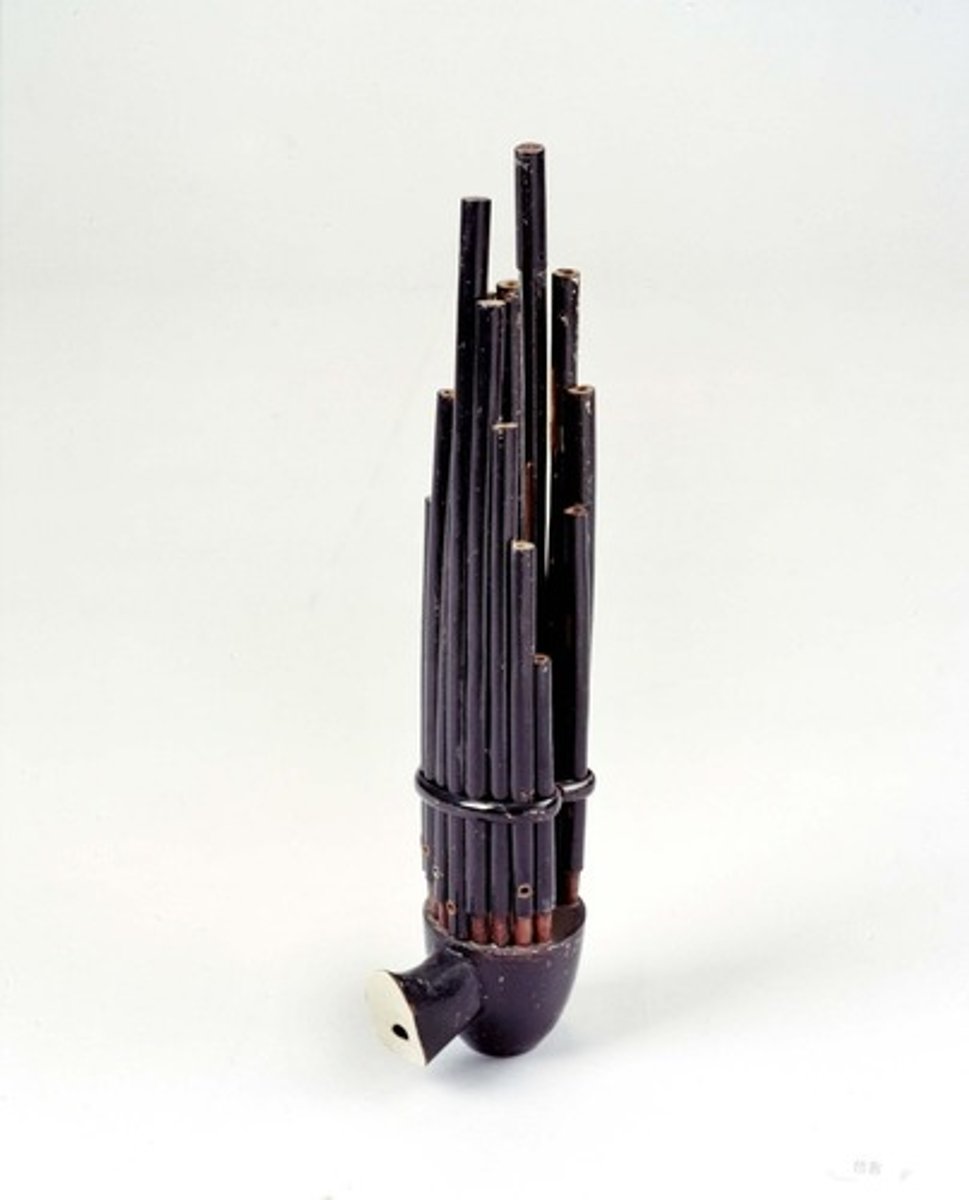 <p>a mouth organ with 17 bamboo tubes</p>