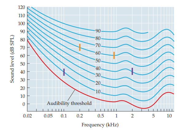 <p>sound played at constant level is perceived as louder when played for a greater duration</p><p>indicative of temporal integration</p>