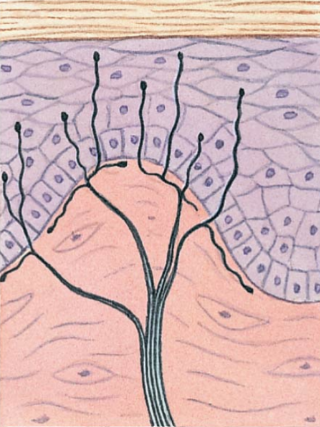 <p>What is this a picture of?</p>