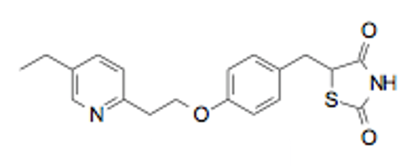 <p>PPARg agonist/weak PPARa agonist</p>