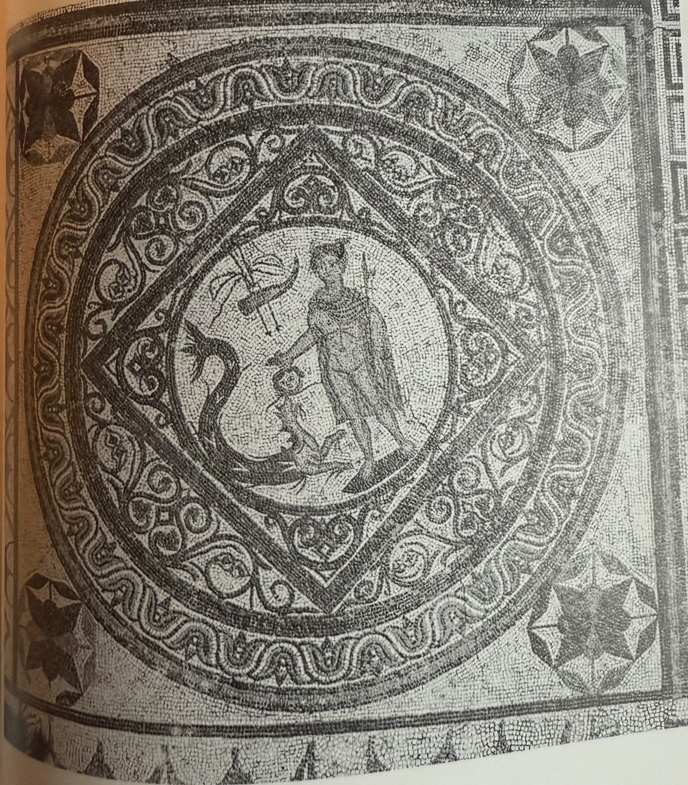 term image