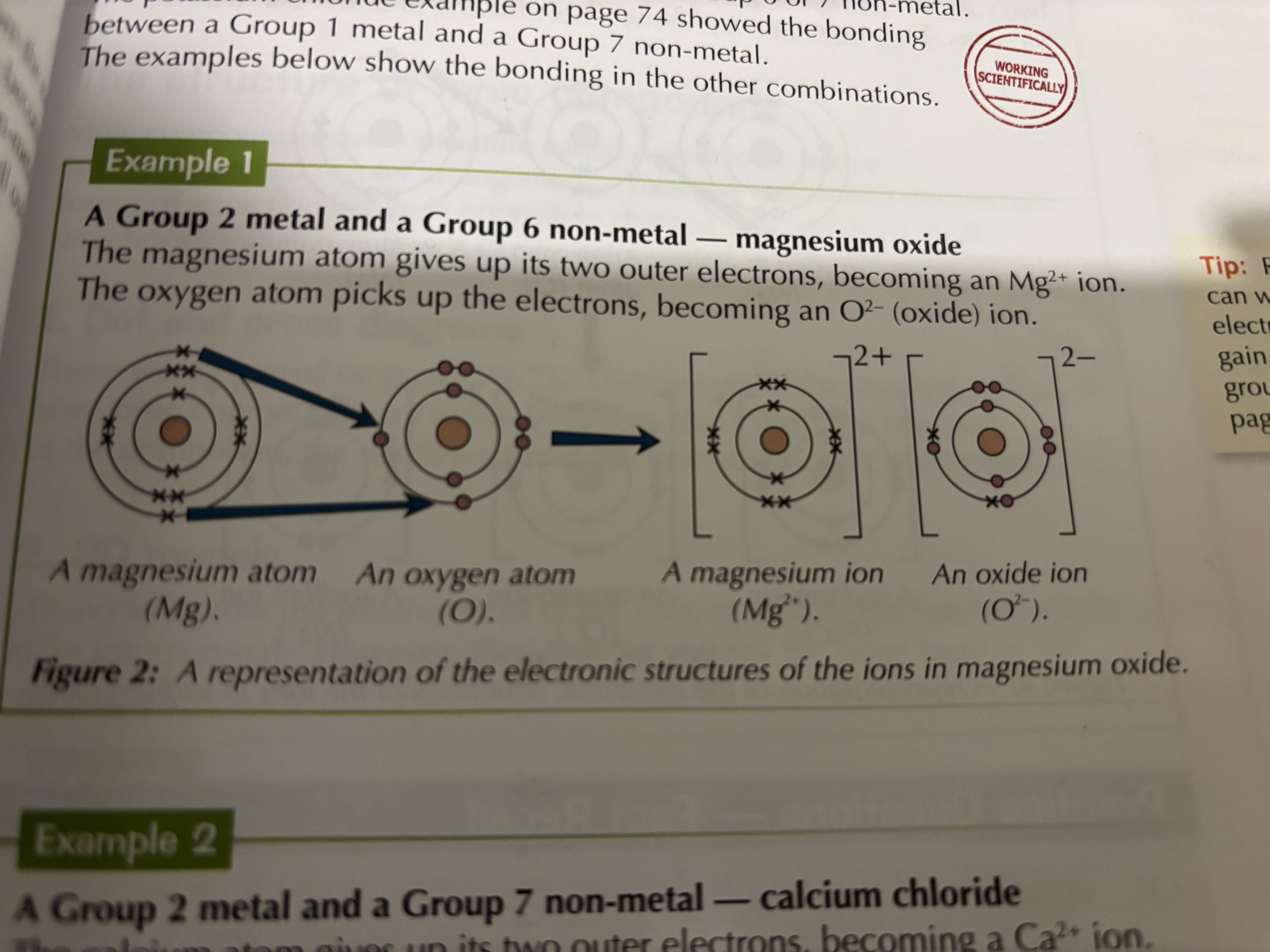 knowt flashcard image