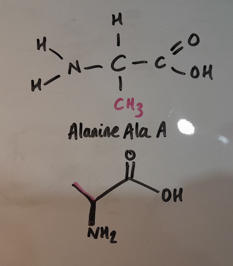 <ul><li><p>Ala</p></li><li><p>A</p></li><li><p>hydrophobic nonpolar</p></li><li><p>aliphatic</p></li></ul><p></p>