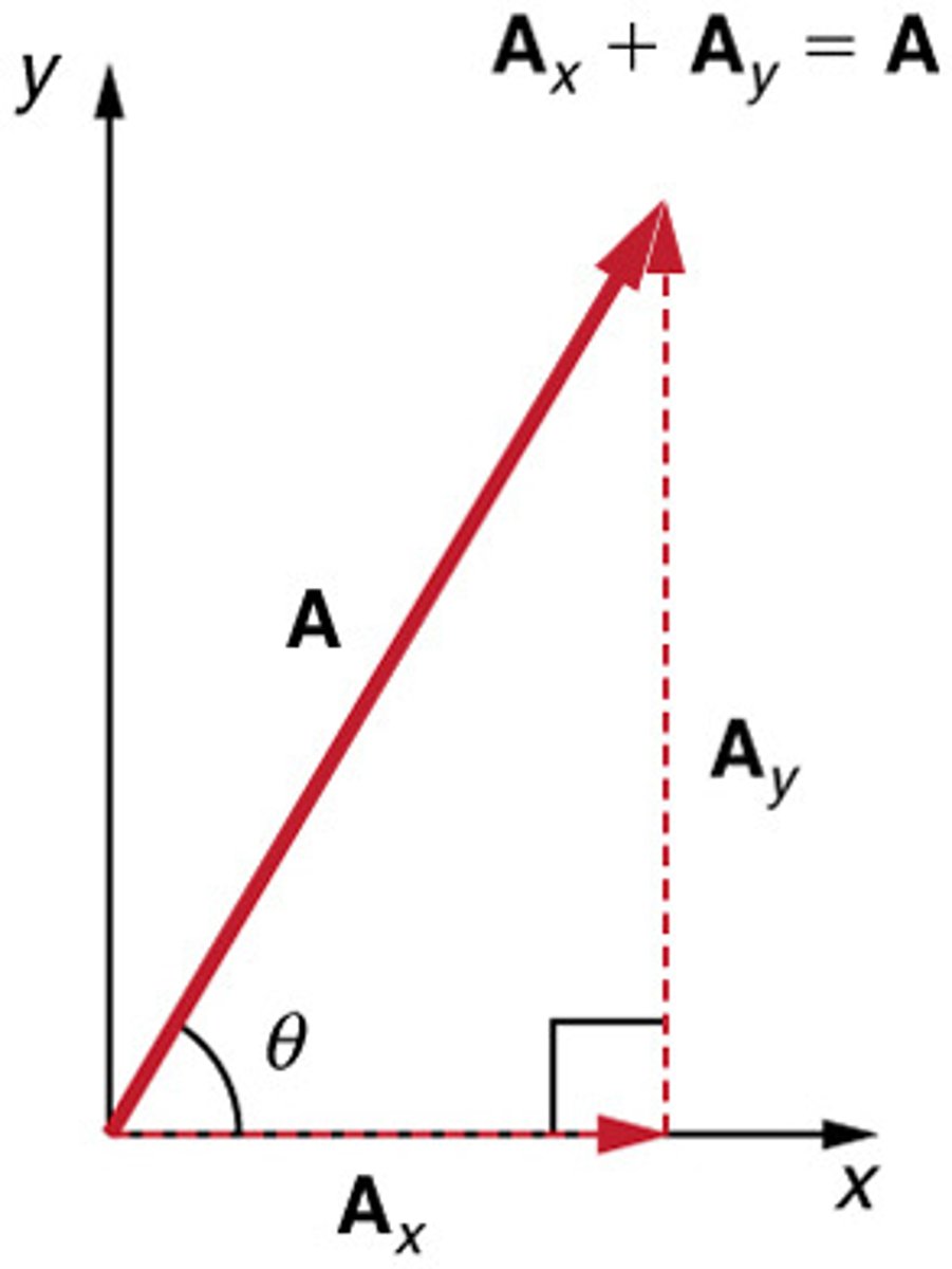 <p>The process of breaking a vector into its perpendicular components along the x- and y-axes.</p>