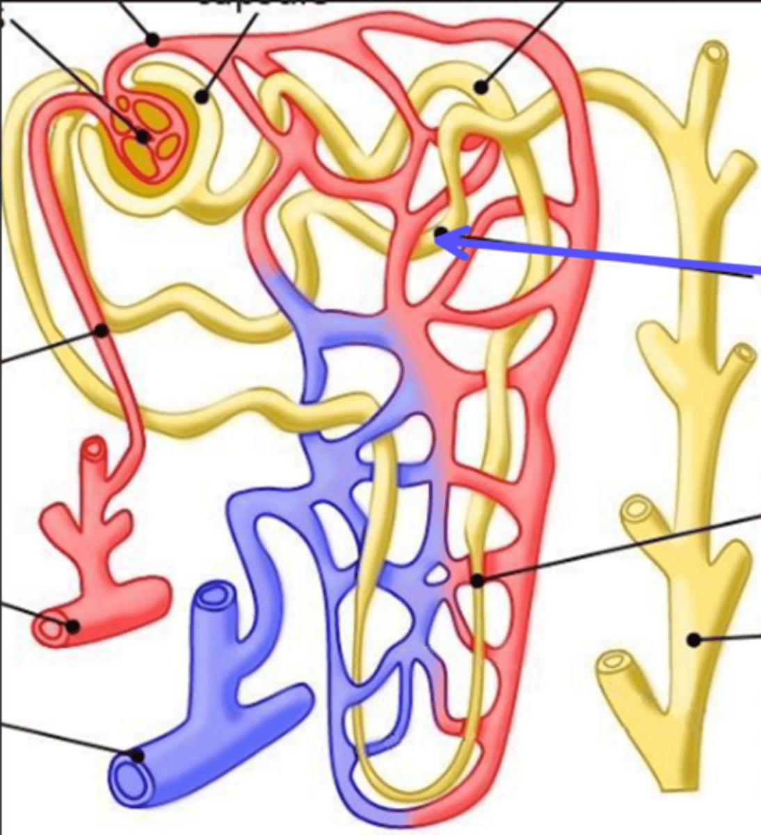 <p>What is the arrow pointing at?</p>