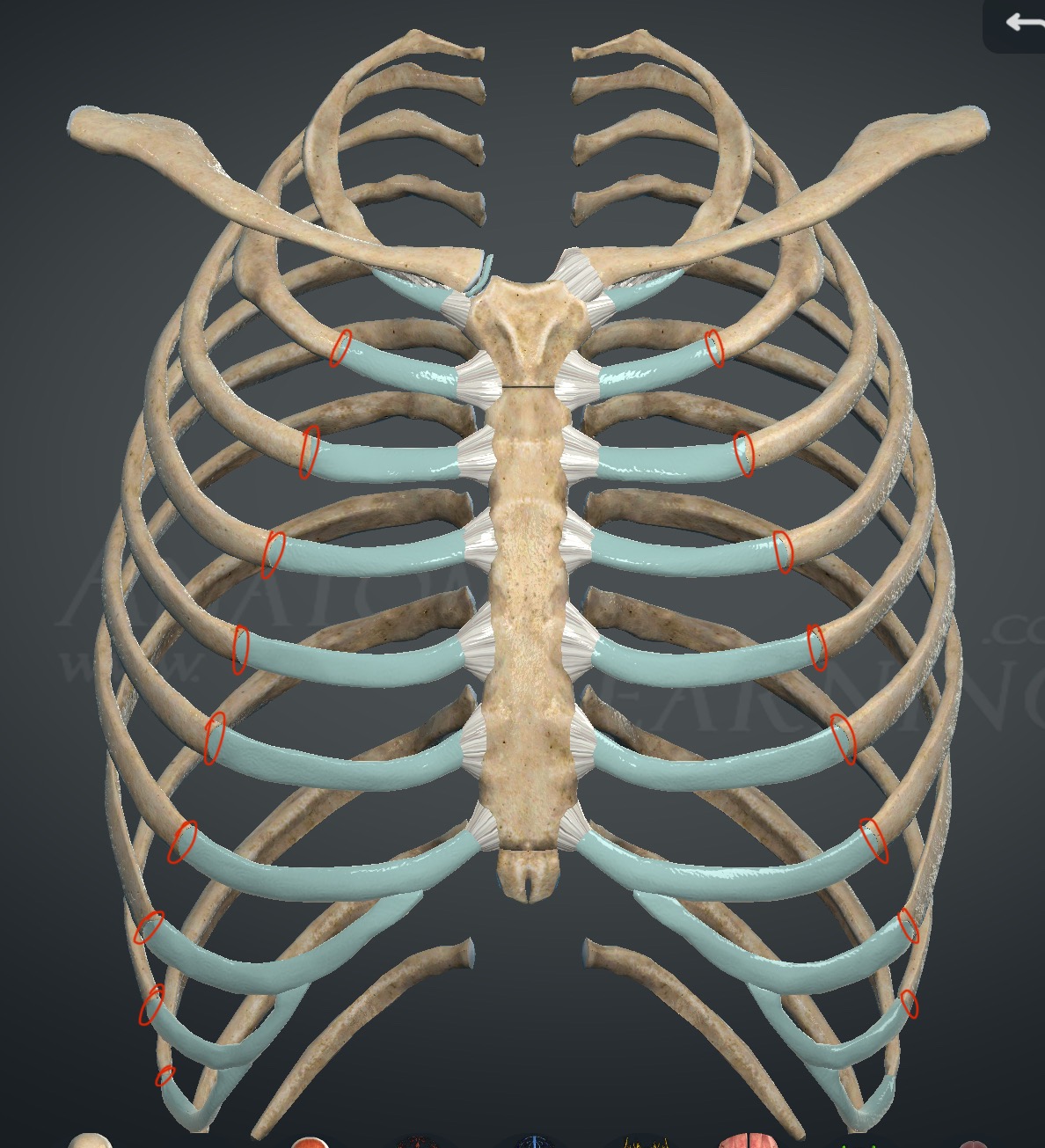 <p>What joints are these?</p>
