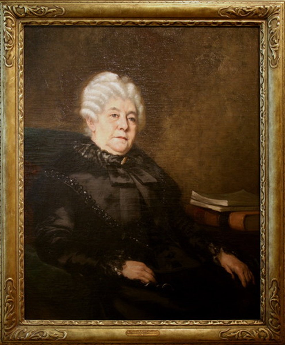 <p>Leading figure of the early women's rights movement in the United States (1815-1902).</p>