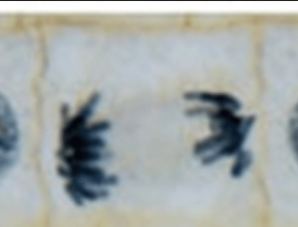 <p>What is the image?</p>