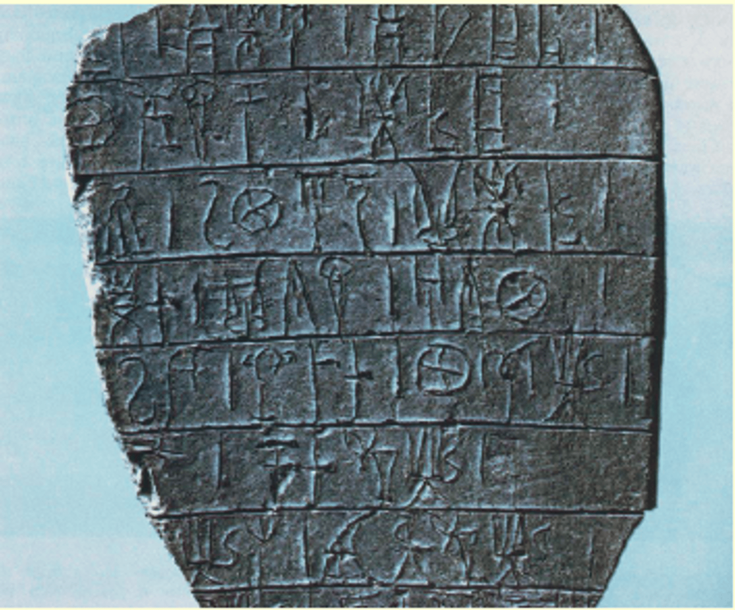knowt flashcard image