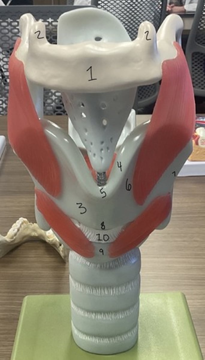 <p>What is structure 8?</p>