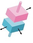 This is an example of a ___  _____ (Second word is joint)