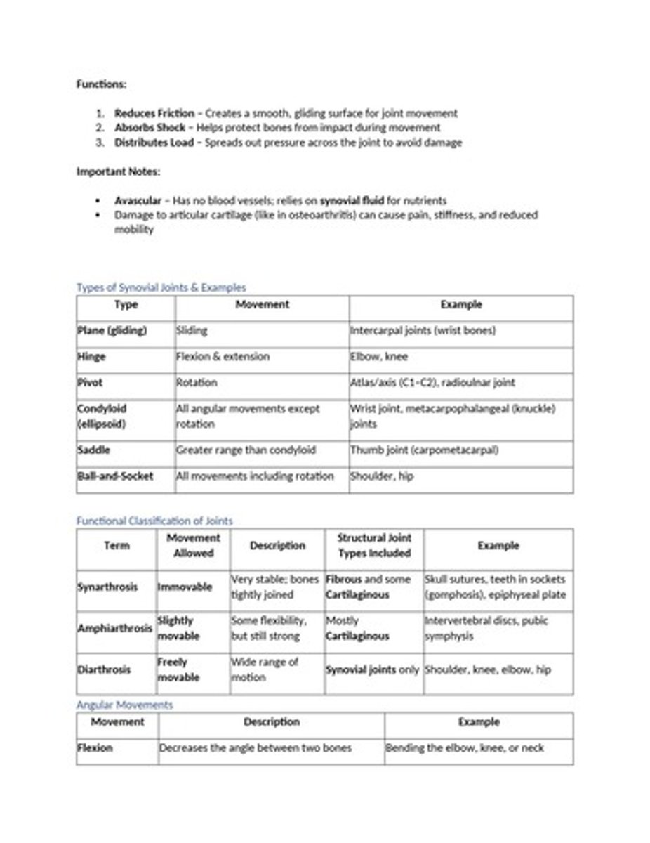 <p>Freely movable joints with a fluid-filled cavity, characterized by features like articular cartilage, synovial fluid, and ligaments.</p>