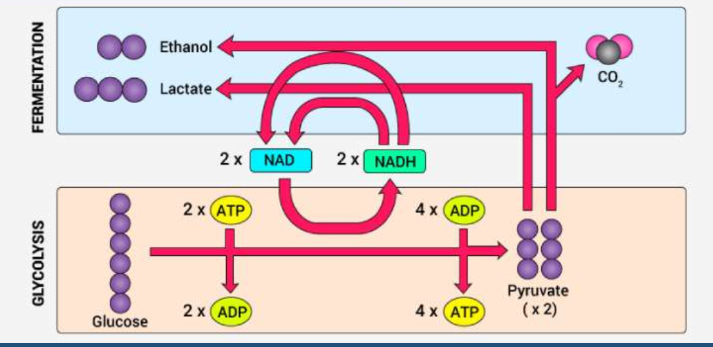 <p>What process is this</p>
