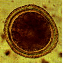 <p>?</p>