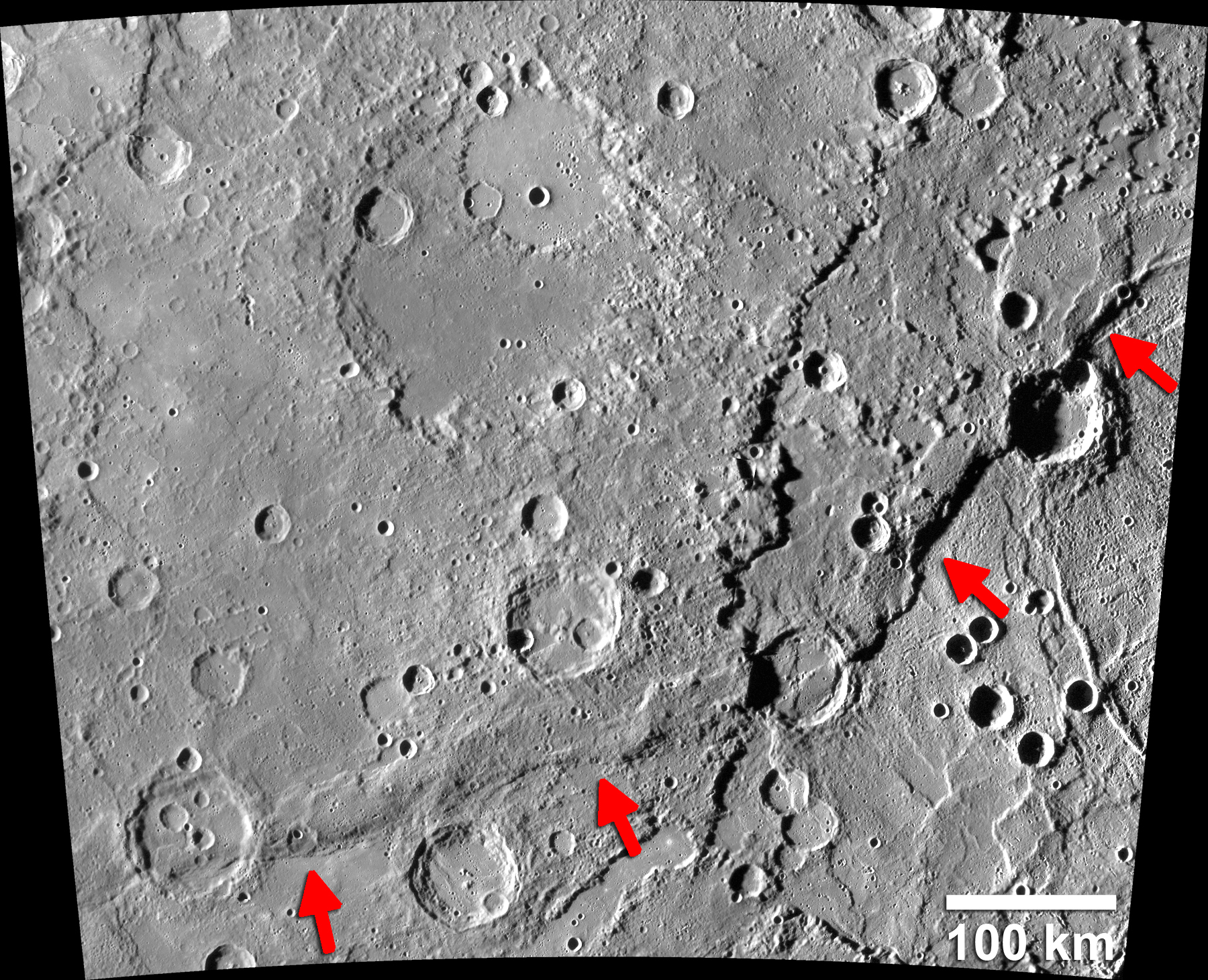 <p>(cliffs) f<strong>ormed when the planets crust cooled and shrank</strong> early in mercurys history and <strong>caused creases on the surface</strong></p><p></p>