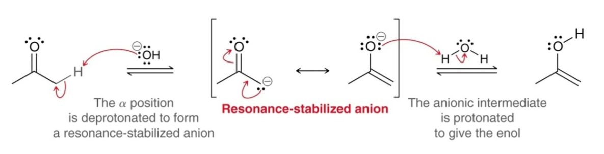 <ol><li><p><strong>Nucleophilic Attack: </strong>The α position is deprotonated to form a resonance-stabilized anion.</p></li><li><p><strong>Proton Transfer: </strong>The anionic intermediate is protonated to give an enol.</p></li></ol><p></p>