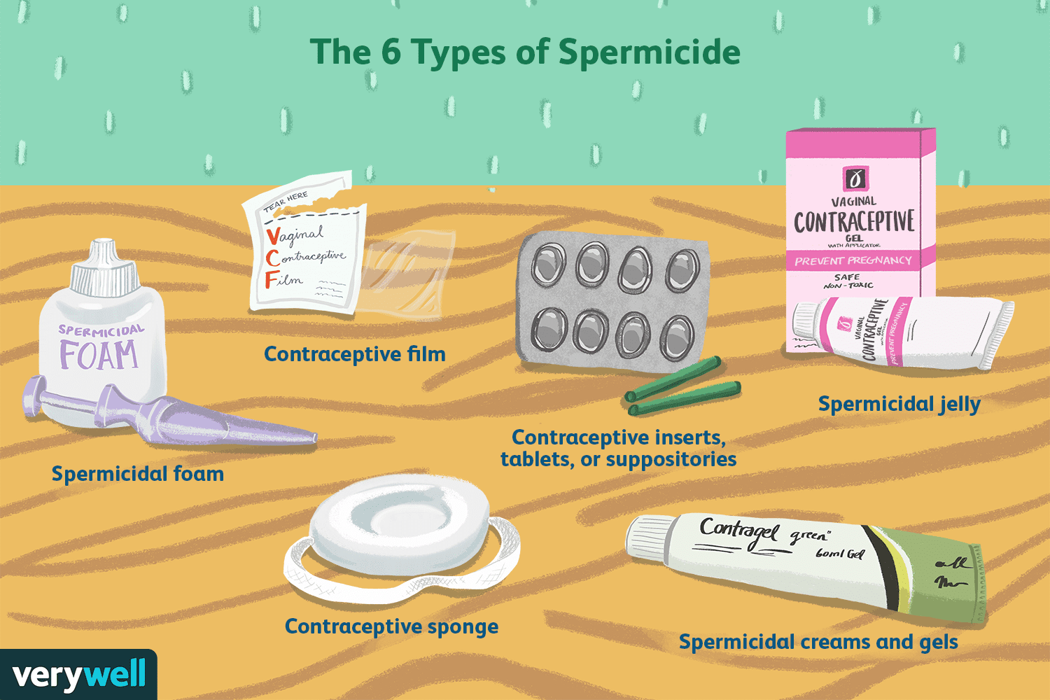 <p>chemical barrier that is available in a variety of forms and destroys sperm before they can enter the cervix, It causes the vaginal flora to be more acidic, which is not favorable for sperm survival </p>