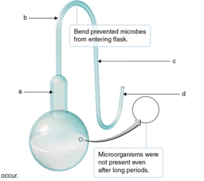 <p>1) Predict which scenarios would most likely produce growth/airborne microbial contamination of sterile beef broth if Pasteur's S-shaped neck flask were cut. <br>a: break near flask. <br>b: break before the first curve. <br>c: beak between the first and second curve in the S-shaped neck. <br>d: break after the second curve in the S-shaped flask.</p>