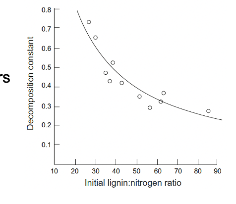 <p>A. Litter C: N ratio of 10, litter lignin: N ratio of 30 </p><p>Lignin is the complex substance that makes up cell walls and provides plants with stiff structure (like wood and bark). It is really easy for fungi to decompose while bacteria better decompose simpler sugars. </p>