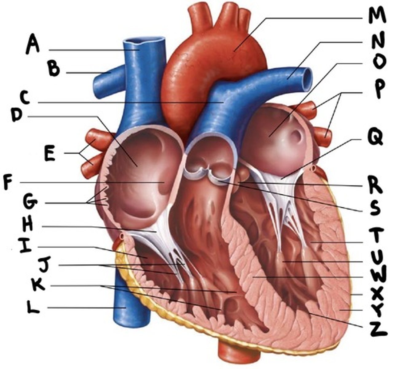 <p>What is G?</p>