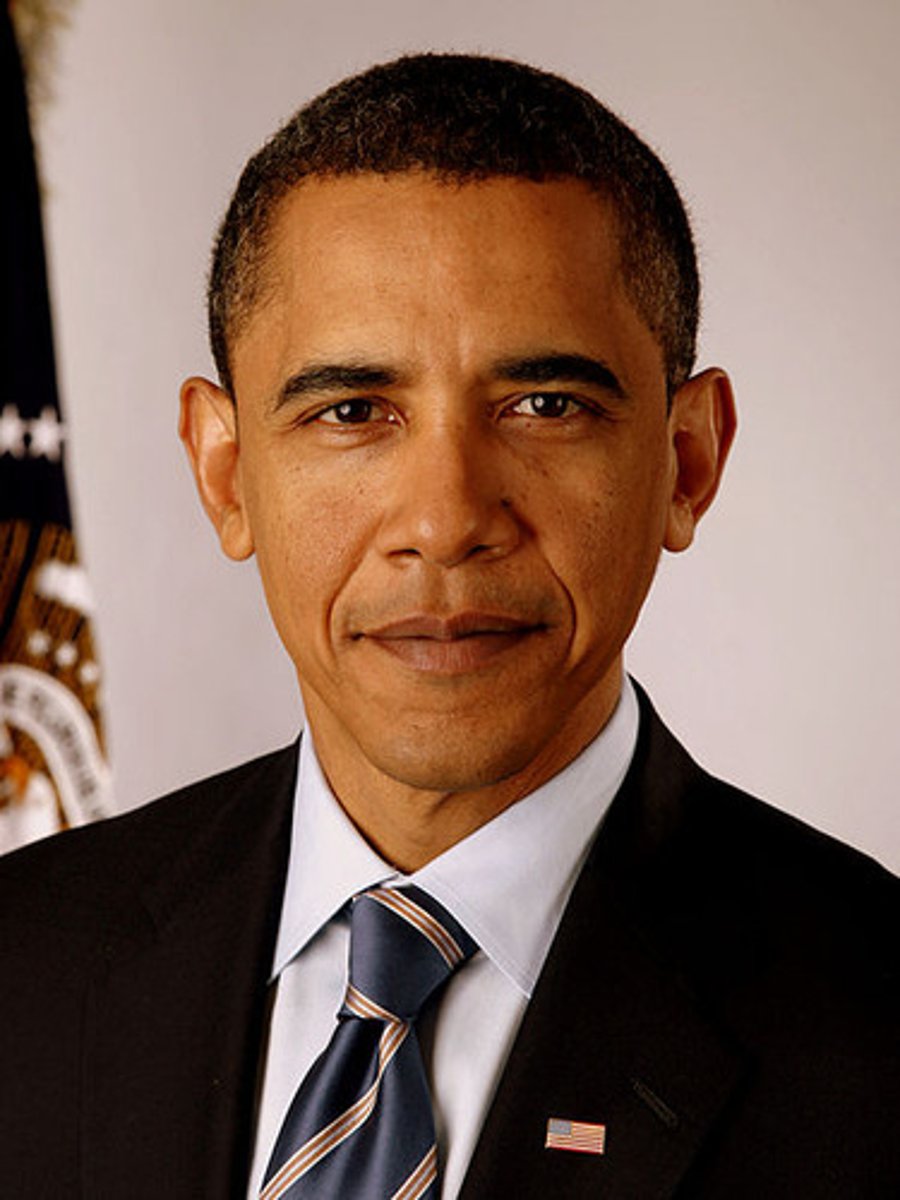 <p>President of a country</p>