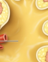 <p>what is this?</p>