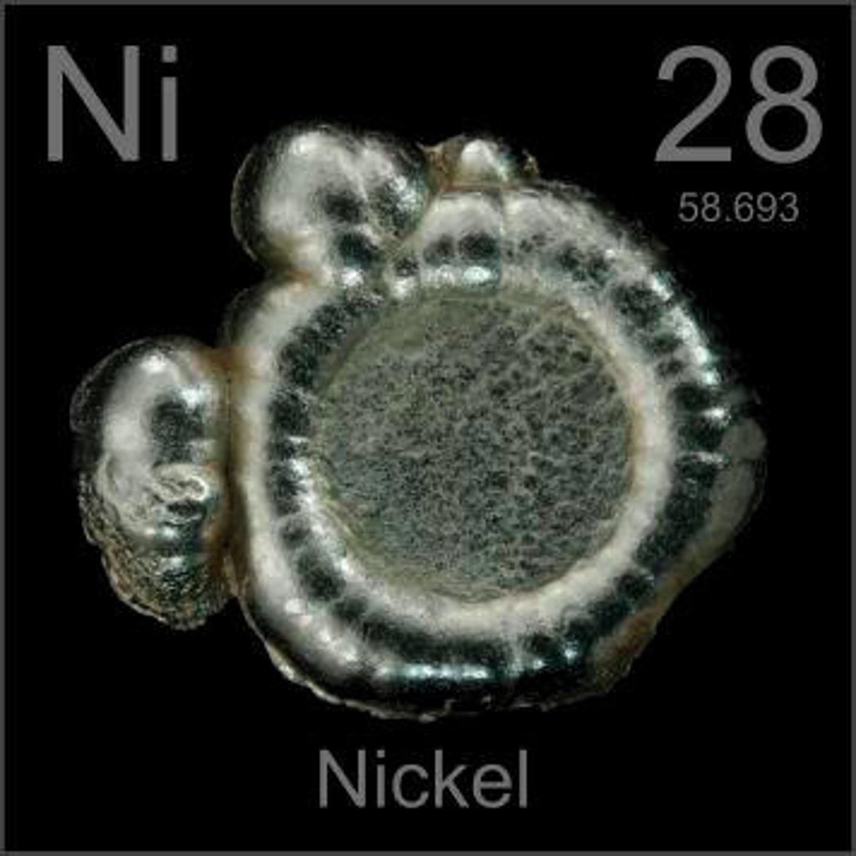 <p>Nickel</p>