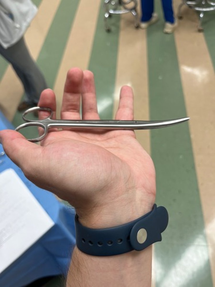 <p>Used for cutting dense tissue (fascia, uterus, linea alba) or suture. Let the curve work for you (better visibility while cutting and mobility)</p>