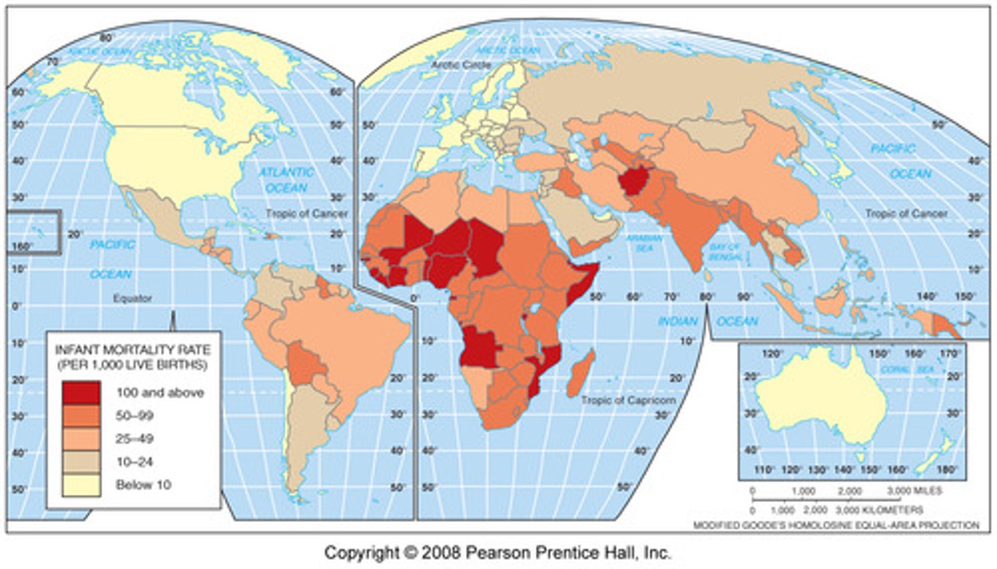 <p>the number of deaths in a given population over a given period of time<br><br>(crude death rate, IMR, life expectancy)</p>