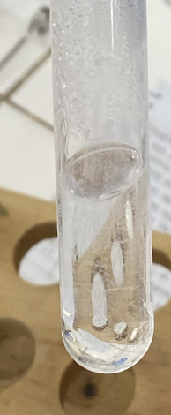 <p>What is the protein present in the test tube?</p>