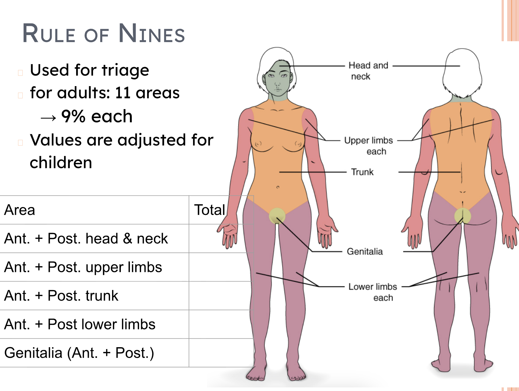 <p>Fill in the blanks</p>