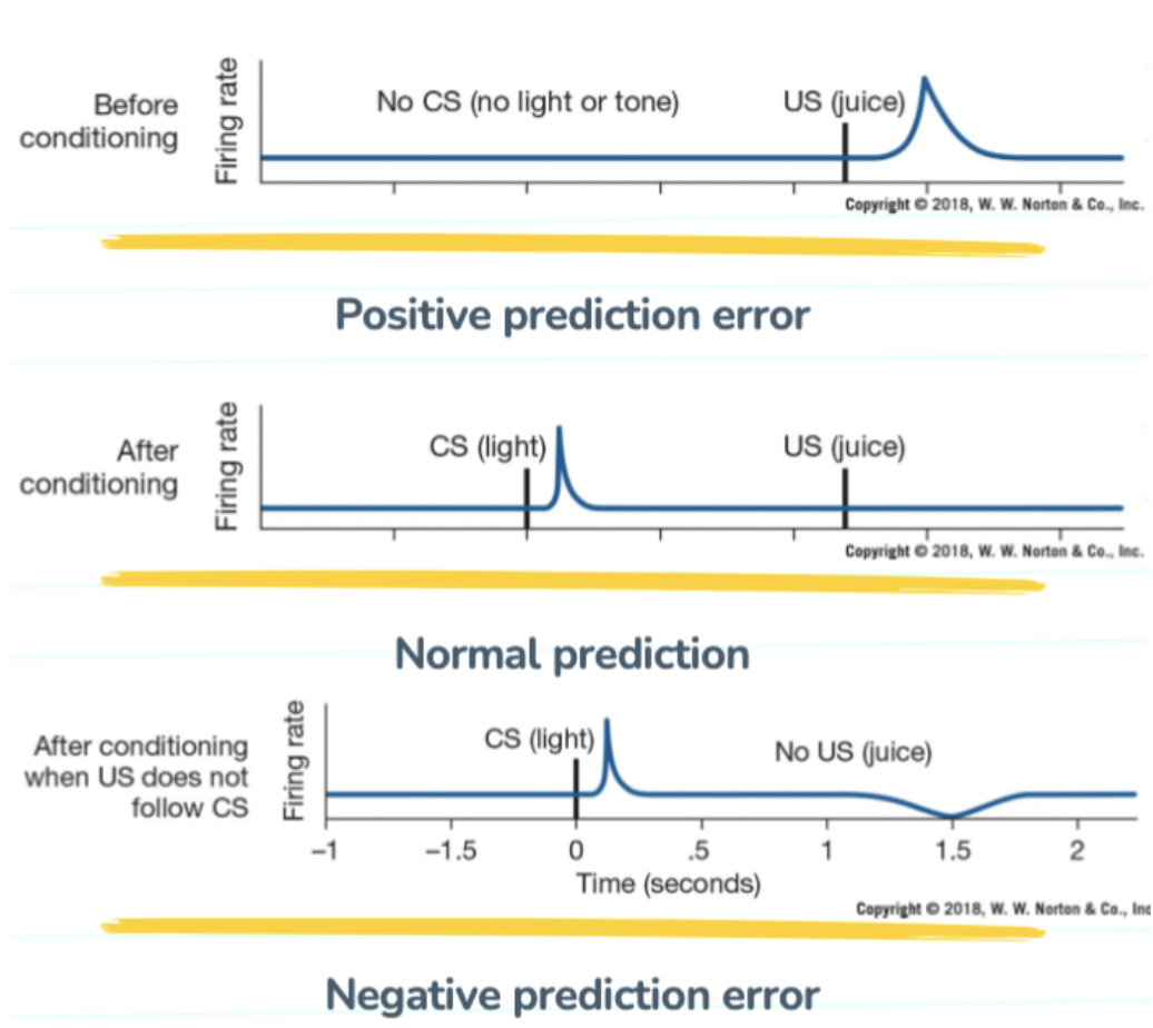More reward is given than expected. This strengthens the relationship between the CS and US