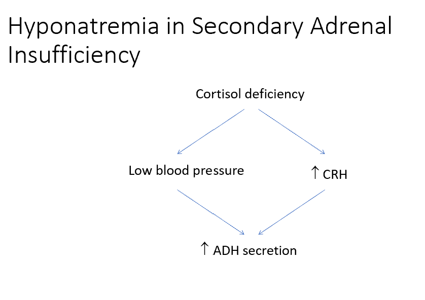 <p>Elevations in CRH can also trigger ADH secretion, leading to water retention and hyponatremia (see next slide for diagram)</p><p></p>