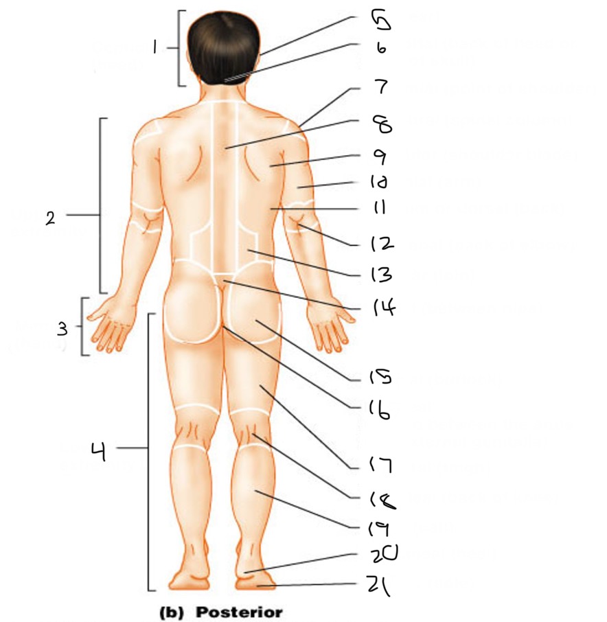 <p>#9</p>