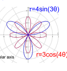 <p>odd = number of petals</p><p>even = double number of petals</p>