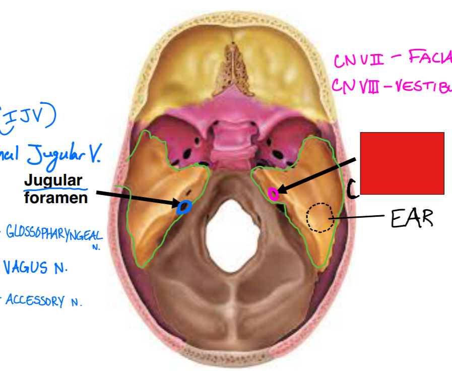 <p>Fill in the red box:</p>