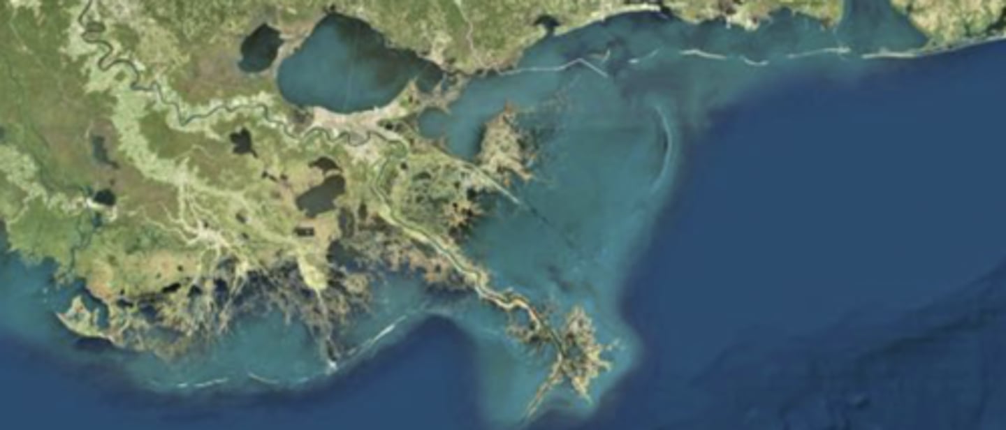 <p>ex: mississippi river delta</p><p>aka "bird's foot delta"</p><p>weak tide and current flow</p><p>fine grained sediment</p><p>distributary channel, deposition dominant</p><p>abundant vegetation (marsh/mangrove)</p>