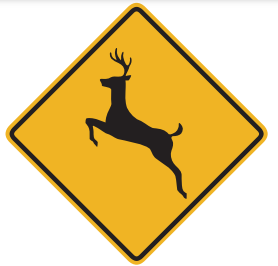 The animal pictured on the sign is common in this area; watch for animals crossing the road particularly during twilight and nighttime hours. 