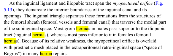 <p>most groin hernias in male pass SUPERIOR to the iliopubic tract (inguinal hernias)</p><p>where as most groin hernias in females pass INFERIOR to the iliopubic tract (femoral hernias)</p>