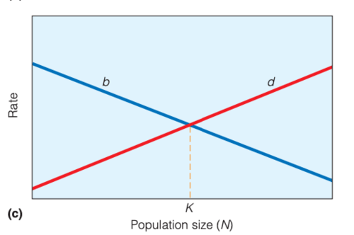 <p>(LEC)</p><p>both can occur simultaneously in a population</p><p>---------------</p><p>BOOK NOTES</p><p>- Both birthrate and mortality are density dependent. </p><p>- Fluctuations in either one hold the population at or near K.</p>