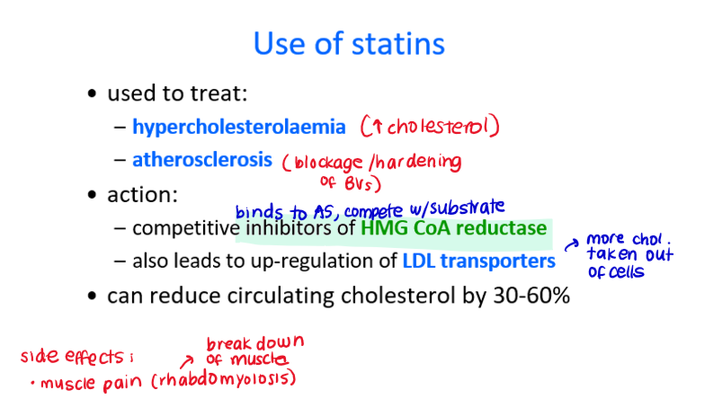 <p>drugs to decrease cholesterol levels</p><ul><li><p>used to treat hypercholesterolaemia and atherosclerosis</p></li><li><p>competitive inhibitor of HMG CoA reductase</p></li><li><p>increases LDL-transporters</p></li><li><p>side effects: muscle pain</p></li></ul>