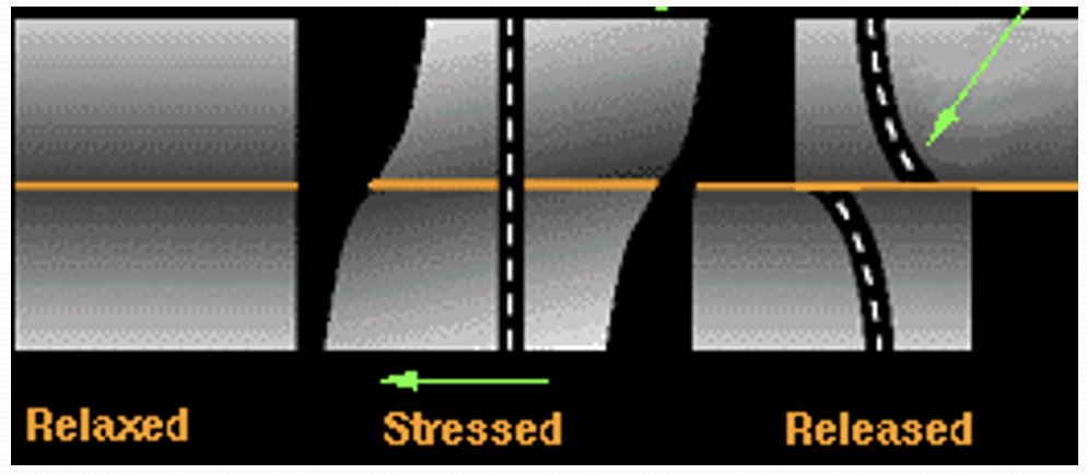 <p>Explain: Elastic Rebound Theory</p>