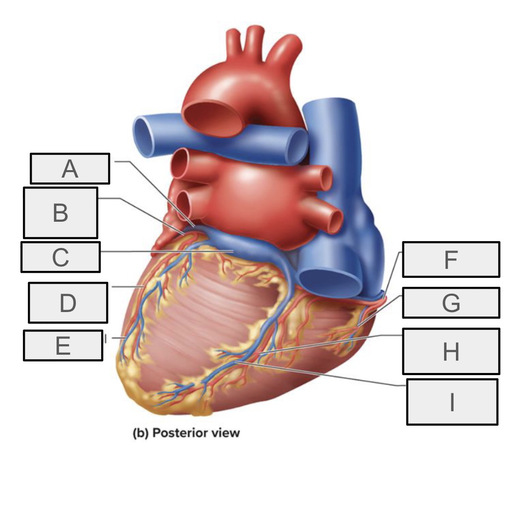 <p>What is C</p>