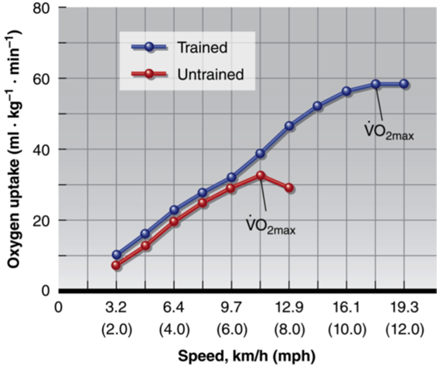 <p>trained people will have a higher VO2 max then untrained. They can utilize more oxygen for a longer period of time.</p>