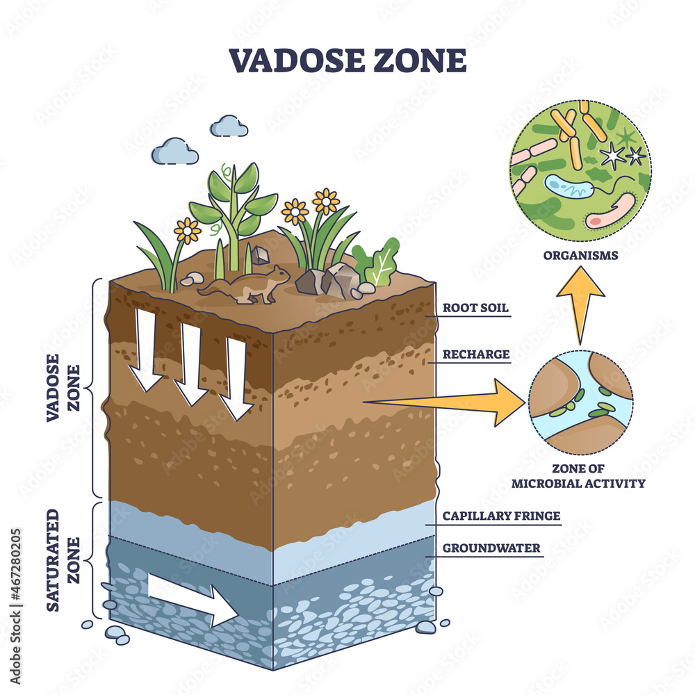 <p>boundary between vadose and saturated zones that changes from rainfall levels </p>