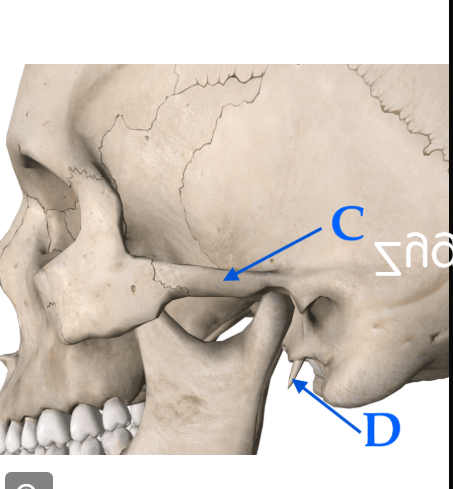 <p>What’s C?</p>
