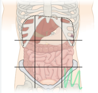 <p>what is the region shaded called?</p>