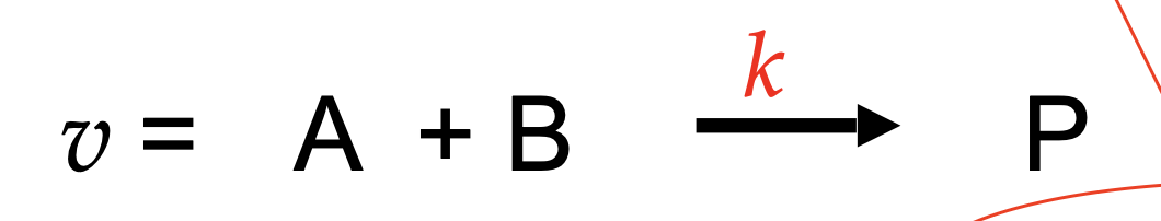 <p>dependent on two substrate concentrations; v = k[A][B]; M<sup>-1</sup>*sec<sup>-1</sup></p>